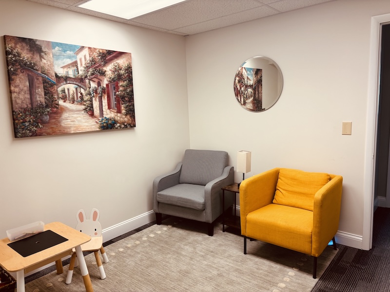A corner of the Sante Therapy office with a bookshelf and a calm color palette.